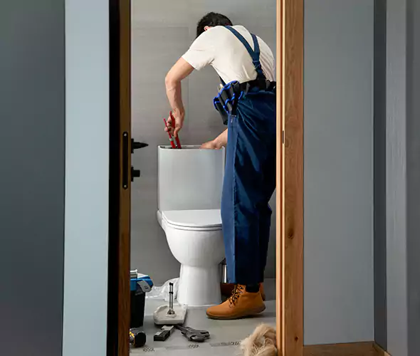 Professional Plumbers for Toilet Bowl Replacement in Rockville Centre, NY: Schedule Affordable Toilet Replacement Services With Us